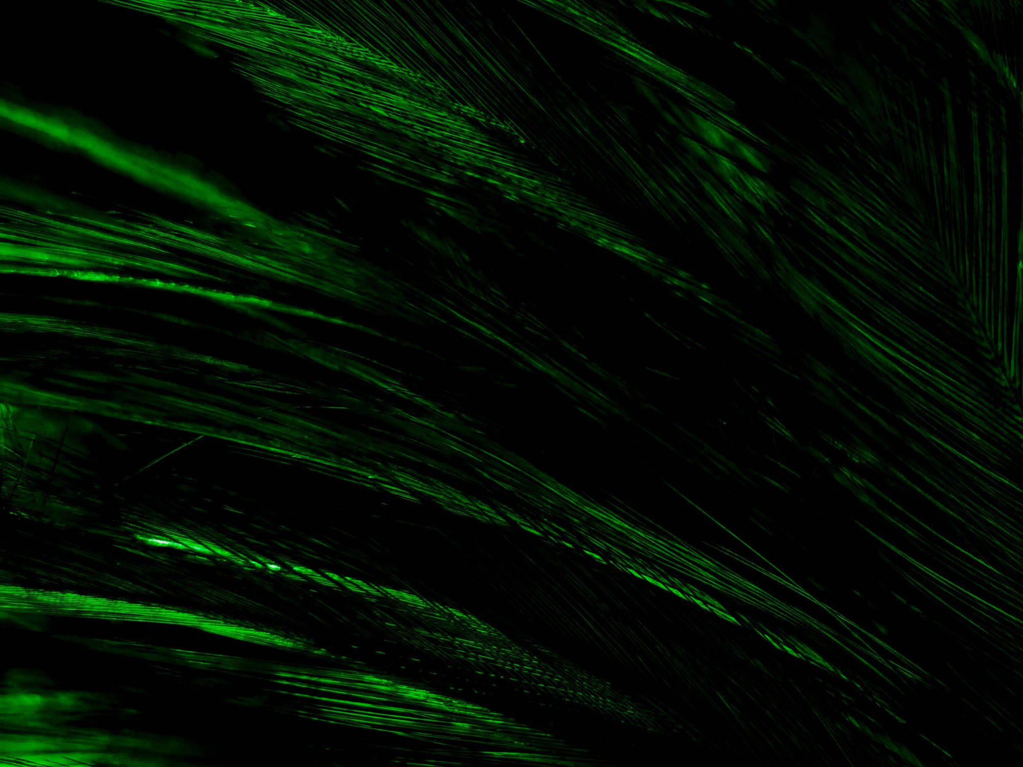 AdobeStock_398221455